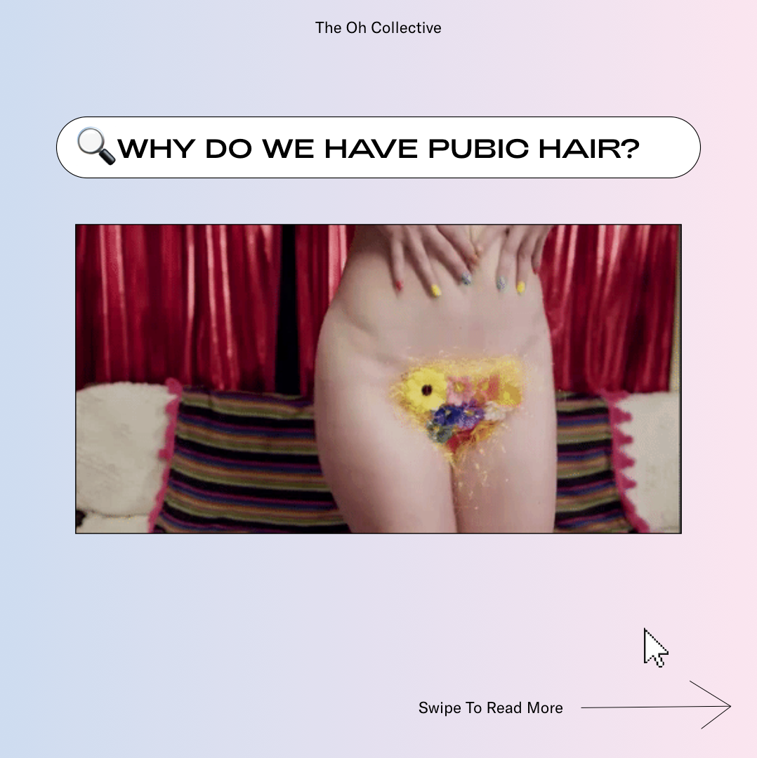 Oh Really | Why Do We Have Pubic Hair?